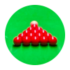 Snooker Southside Logo